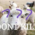 dont kill（kill sheep diss by richy7）