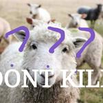 dont kill（kill sheep diss by richy7）专辑