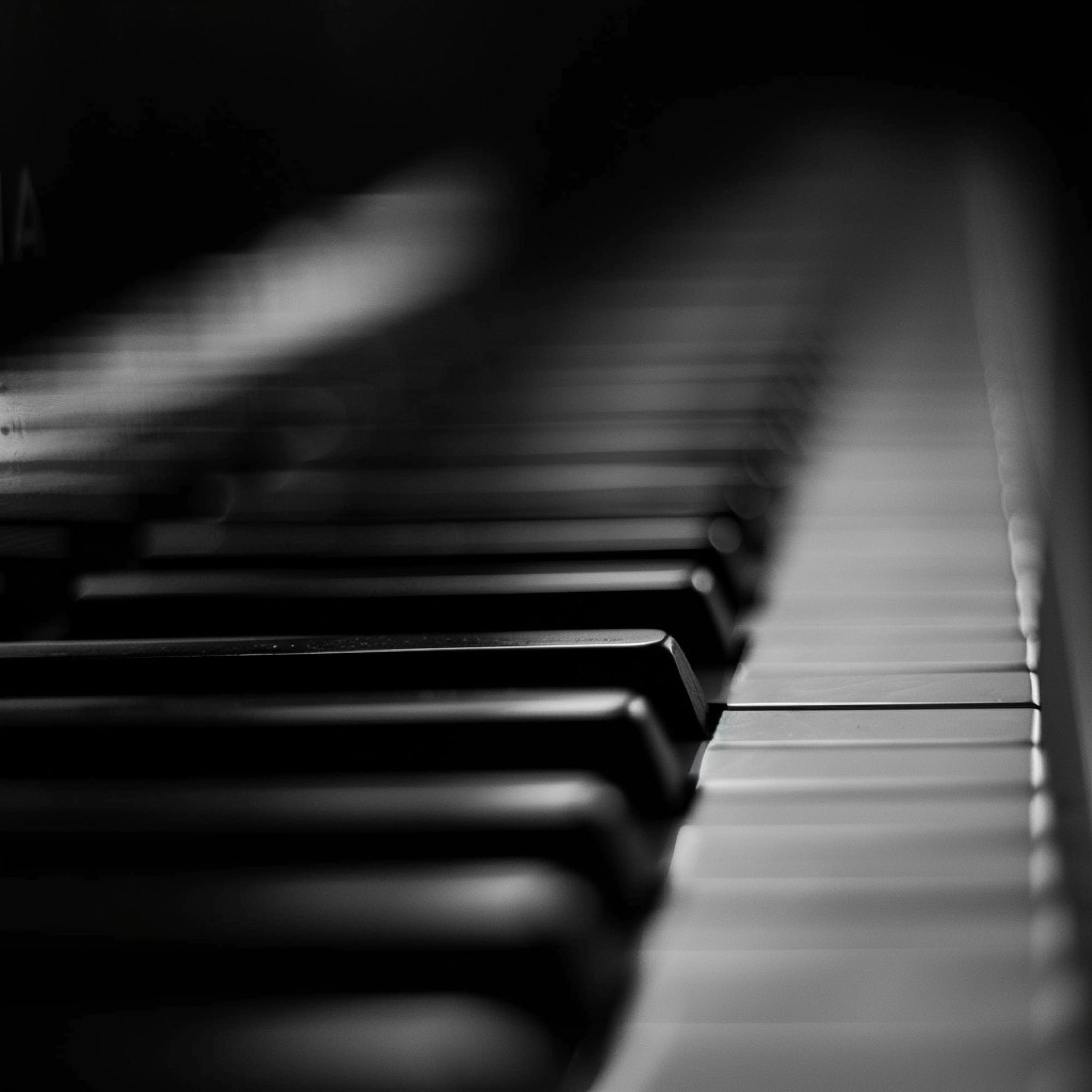 Piano Relajante - Serenata Real De Los Bosques En Piano