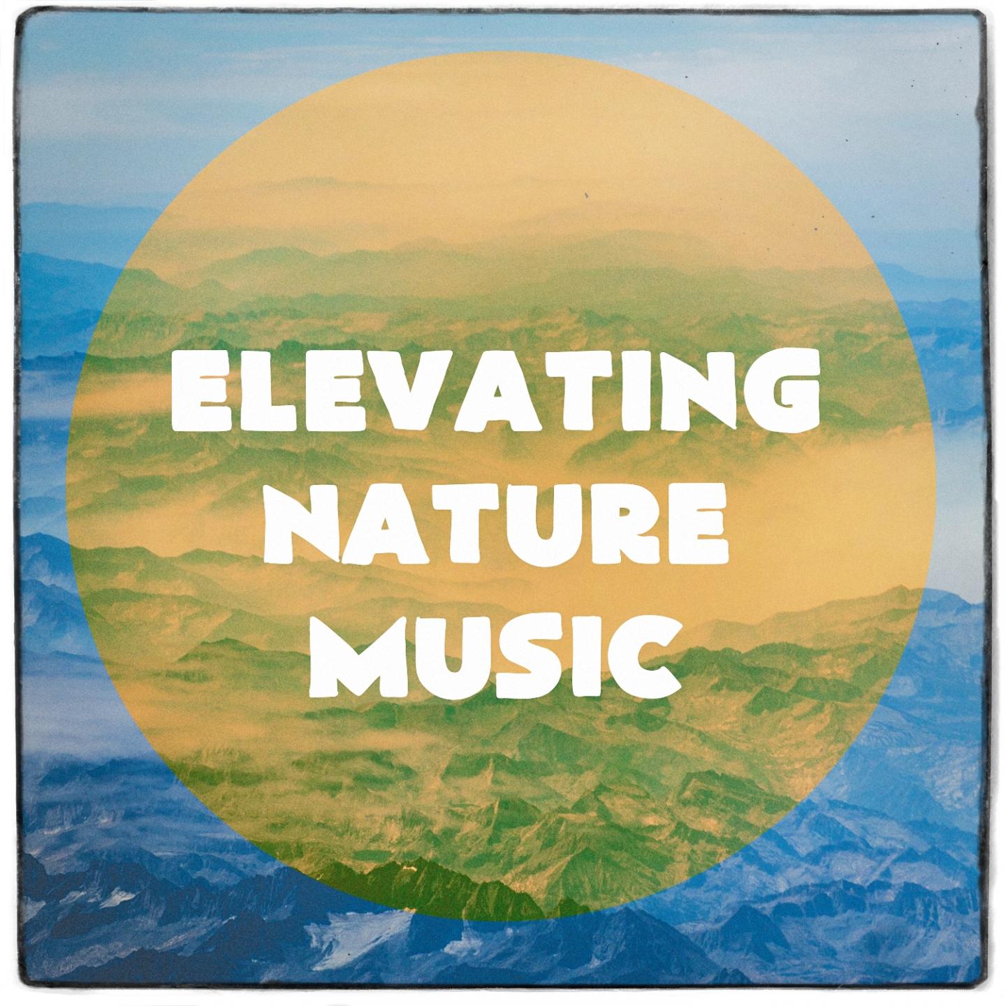 Elevating nature music专辑