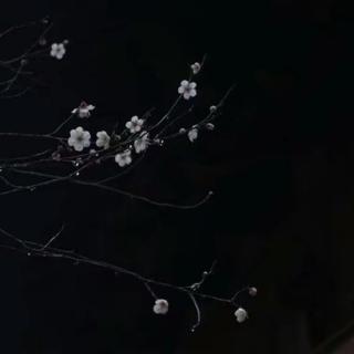 [后摇] 纯 音 乐 - 持更