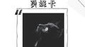 莫妮卡专辑