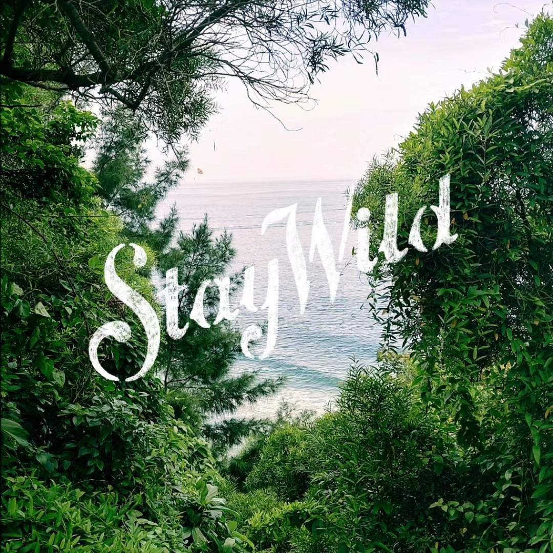 Stay Wild专辑