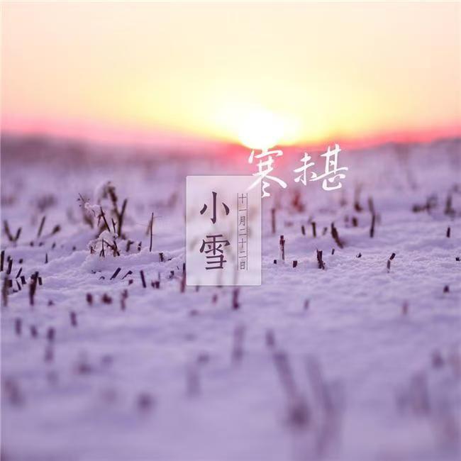 杨山 - 小雪（暮染烟岚 Proghouse Rmx 2024）