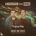 What We Need （Trance Mix）专辑