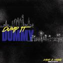 Dump It Dummy专辑