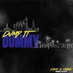 Dump It Dummy专辑