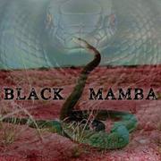 Black Mamba 伴奏