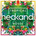 Hed Kandi Tropical House专辑