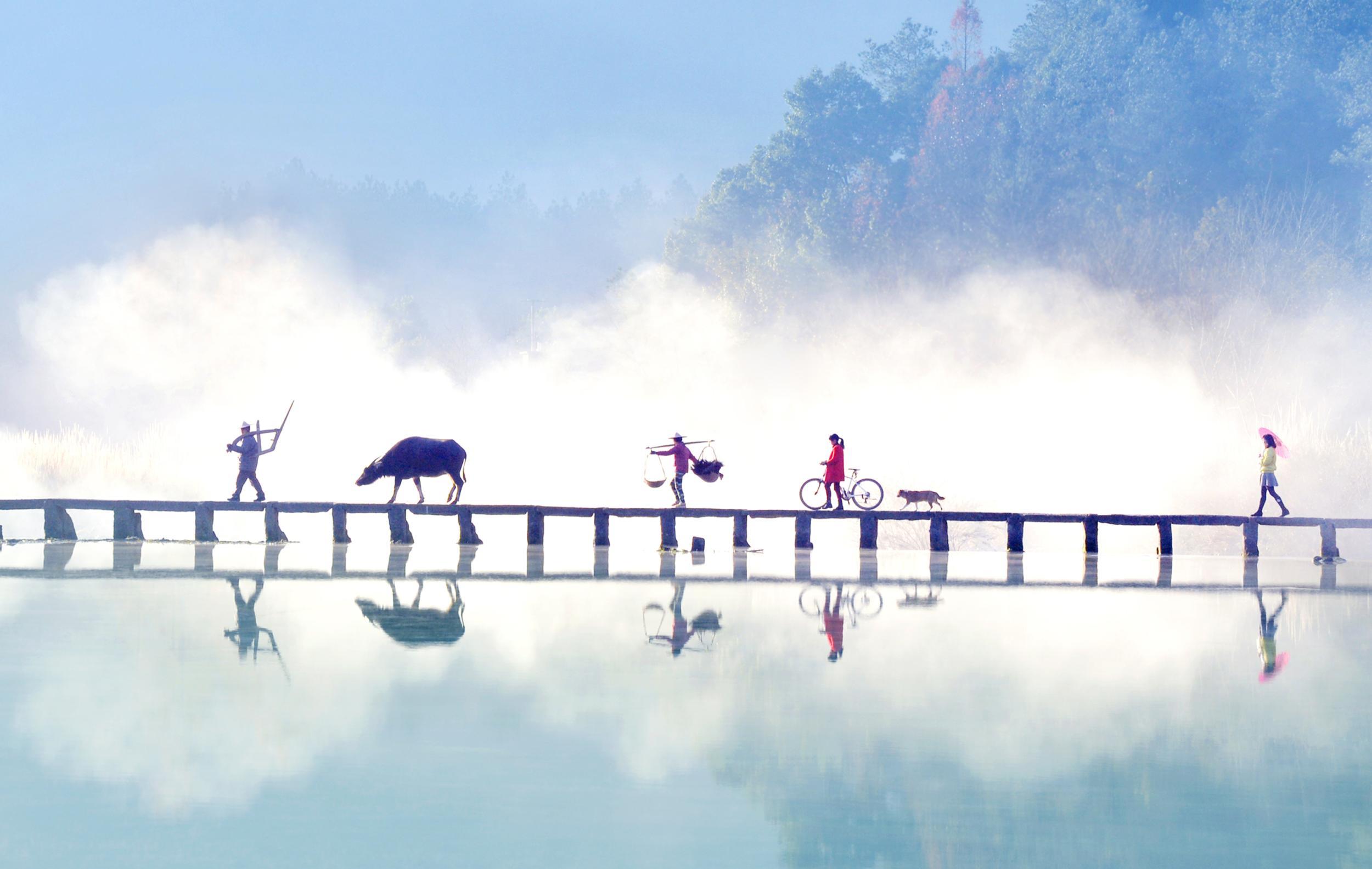 最是人间留不住（洛天依）