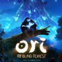 Ori and the Blind Forest (Original Soundtrack)专辑