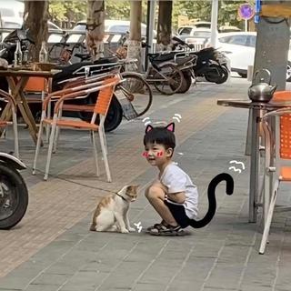 轻音乐｜热爱生活，顺其自然