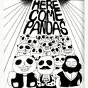 Here Come The Pandas专辑