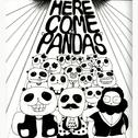 Here Come The Pandas专辑