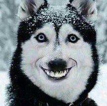 【益达-微笑的力量】恐怖片|恐怖游戏壮胆