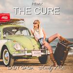 The Cure (Andy Mei Remix)专辑