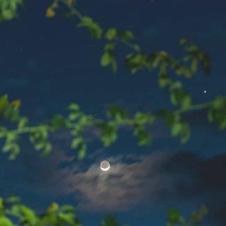 黑夜在星星中失了身，我在你的梦中丢了魂