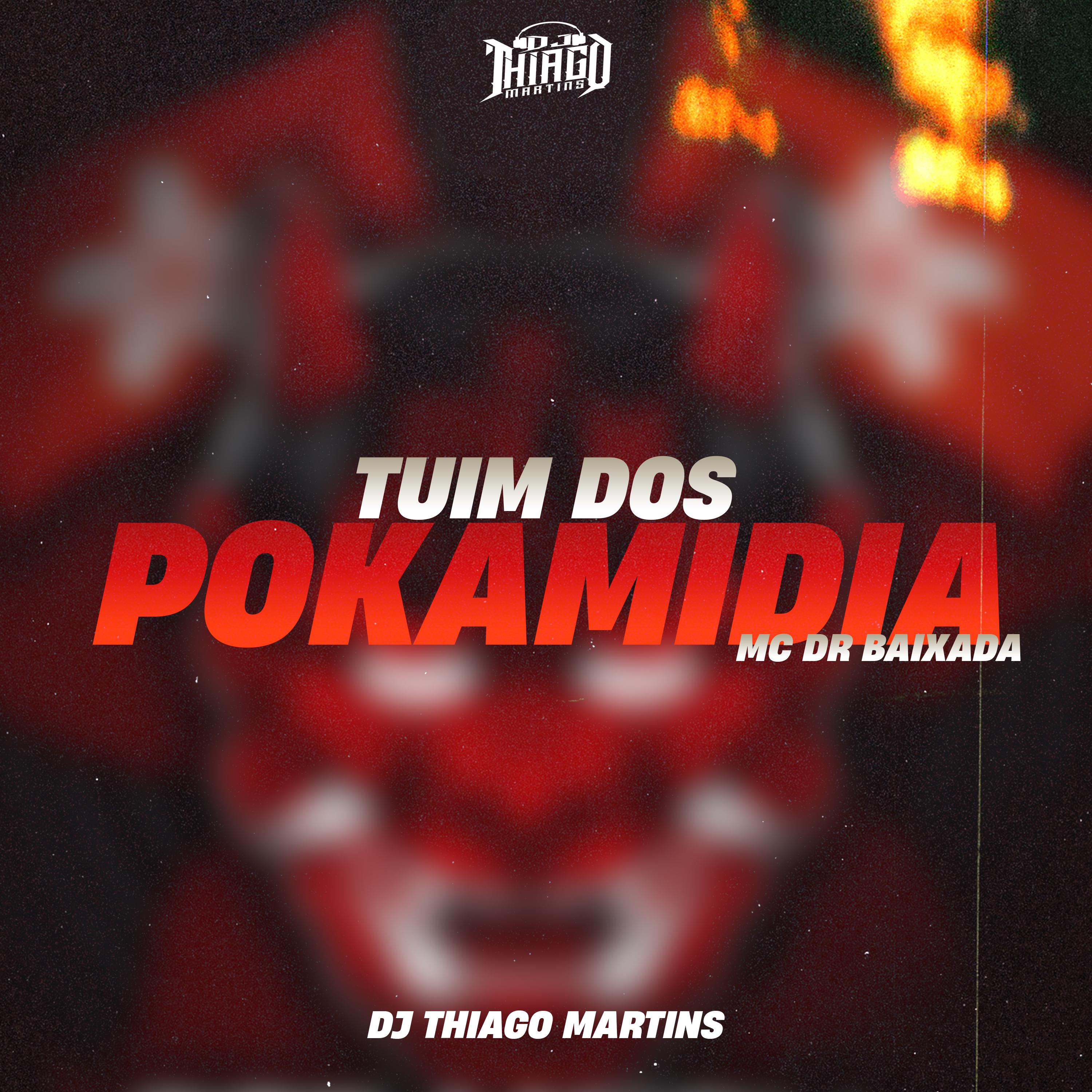 DJ Thiago Martins - TUIM DOS POKAMIDIA