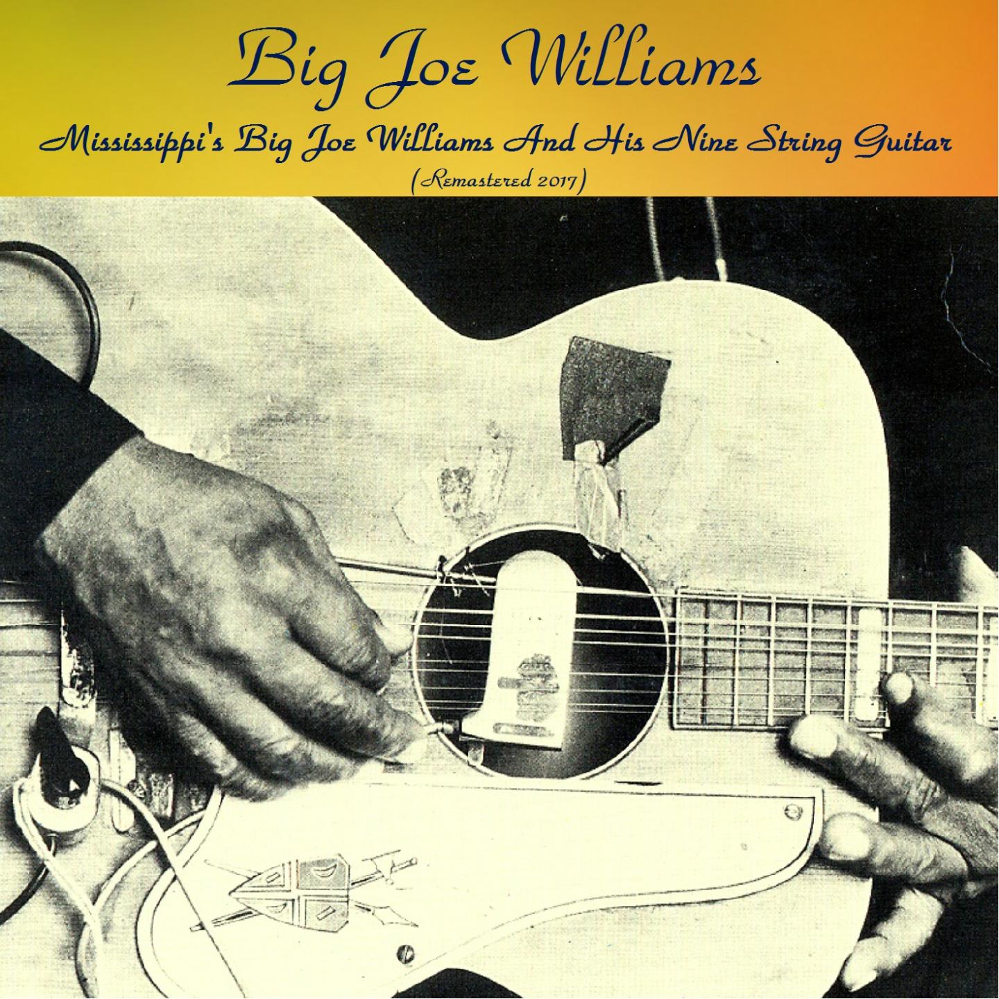 Mississippi's Big Joe Williams And His Nine String Guitar