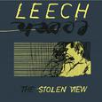 The Stolen View