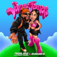 Yailin La Mas Viral & Randy - Somos Panas (Intro Clean) 100