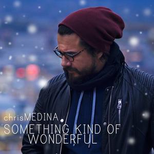 Chris Medina - Something Kind of Wonderful (消音版) 带和声伴奏