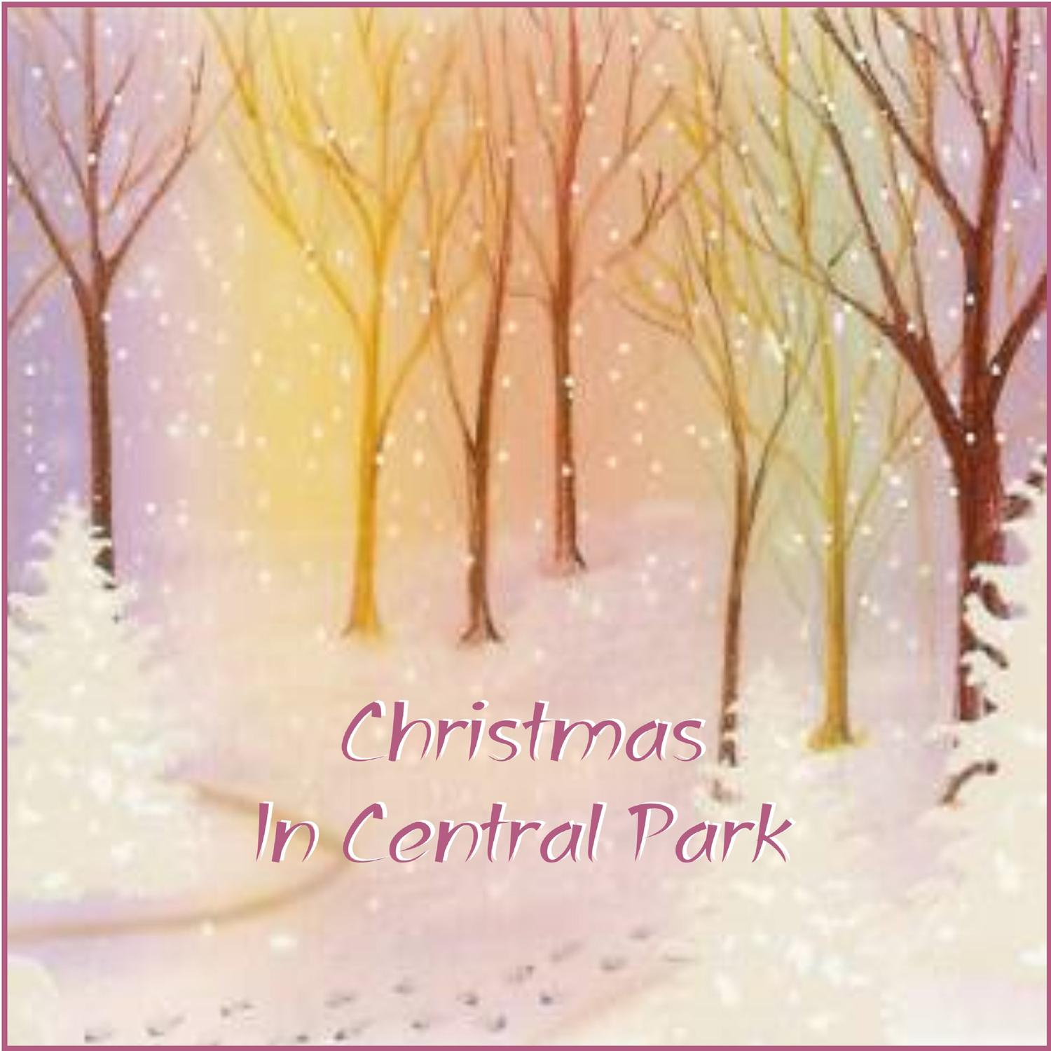Christmas in Central Park