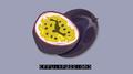 Fruit Passion专辑