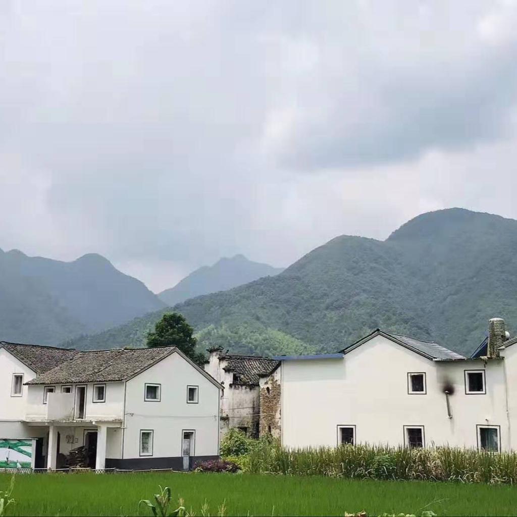 『白噪声』阿尔法α脑波音乐治疗