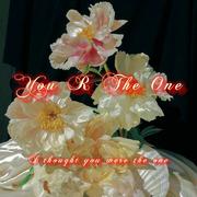 You R The One.