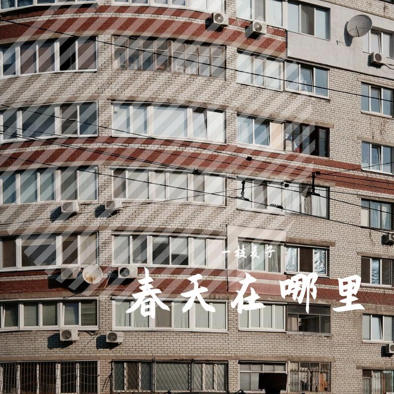 春天在哪里
