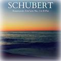 Schubert - Rosamunde: Entr'acte No. 2 in B Flat