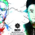 Zedd - Beautiful Now  (DjHope小春 Progressive Mix)