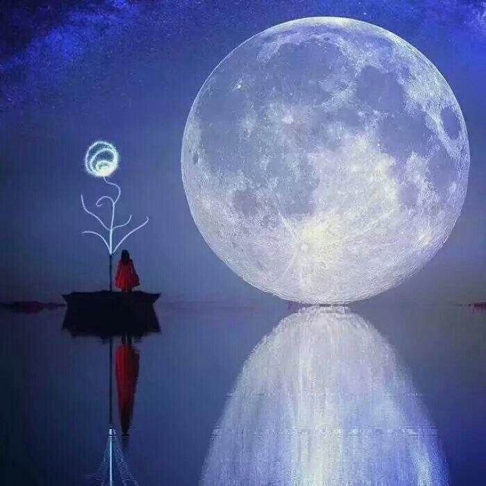 永远要粉的Enya