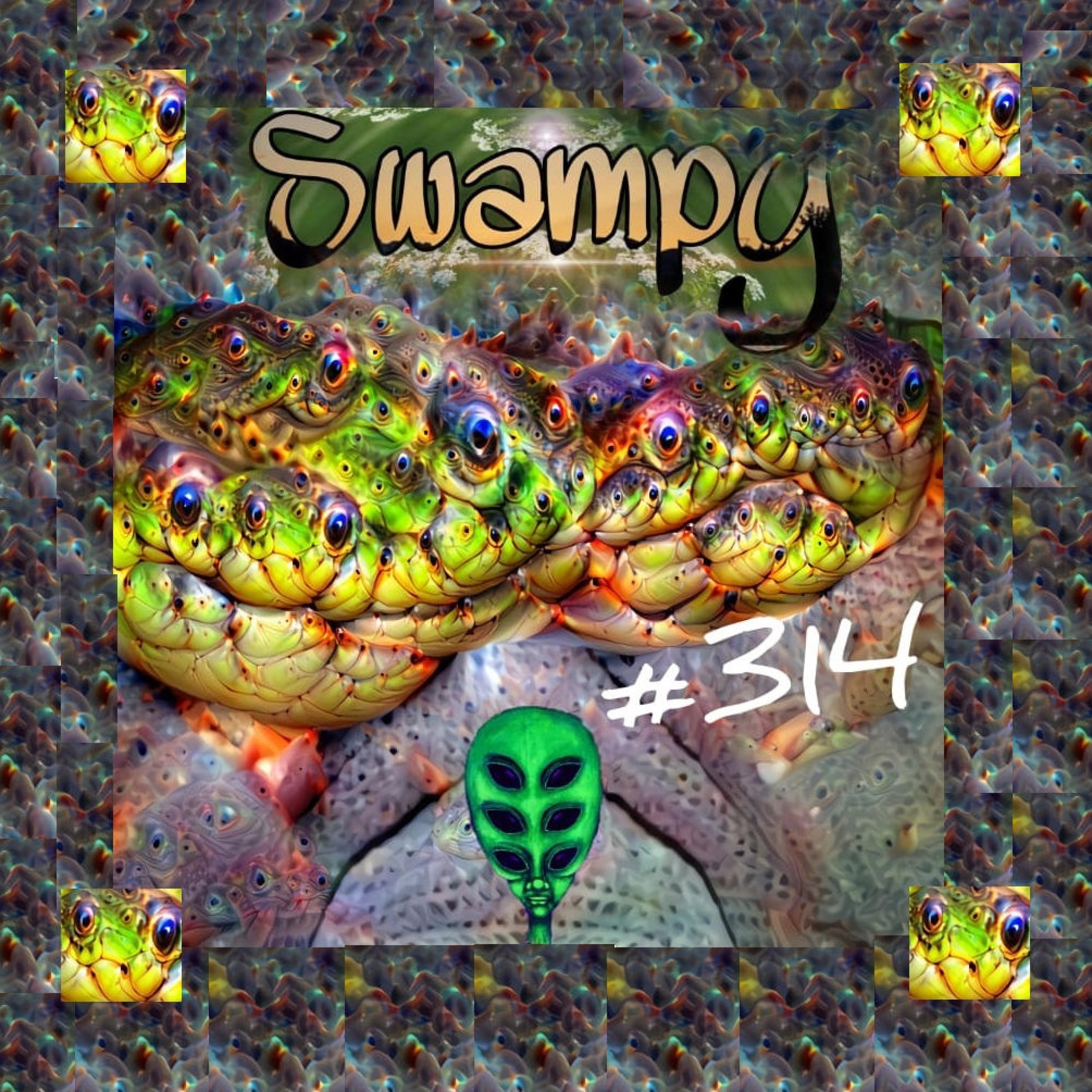 #314