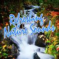 Refreshing Nature Sounds