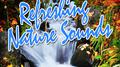Refreshing Nature Sounds专辑