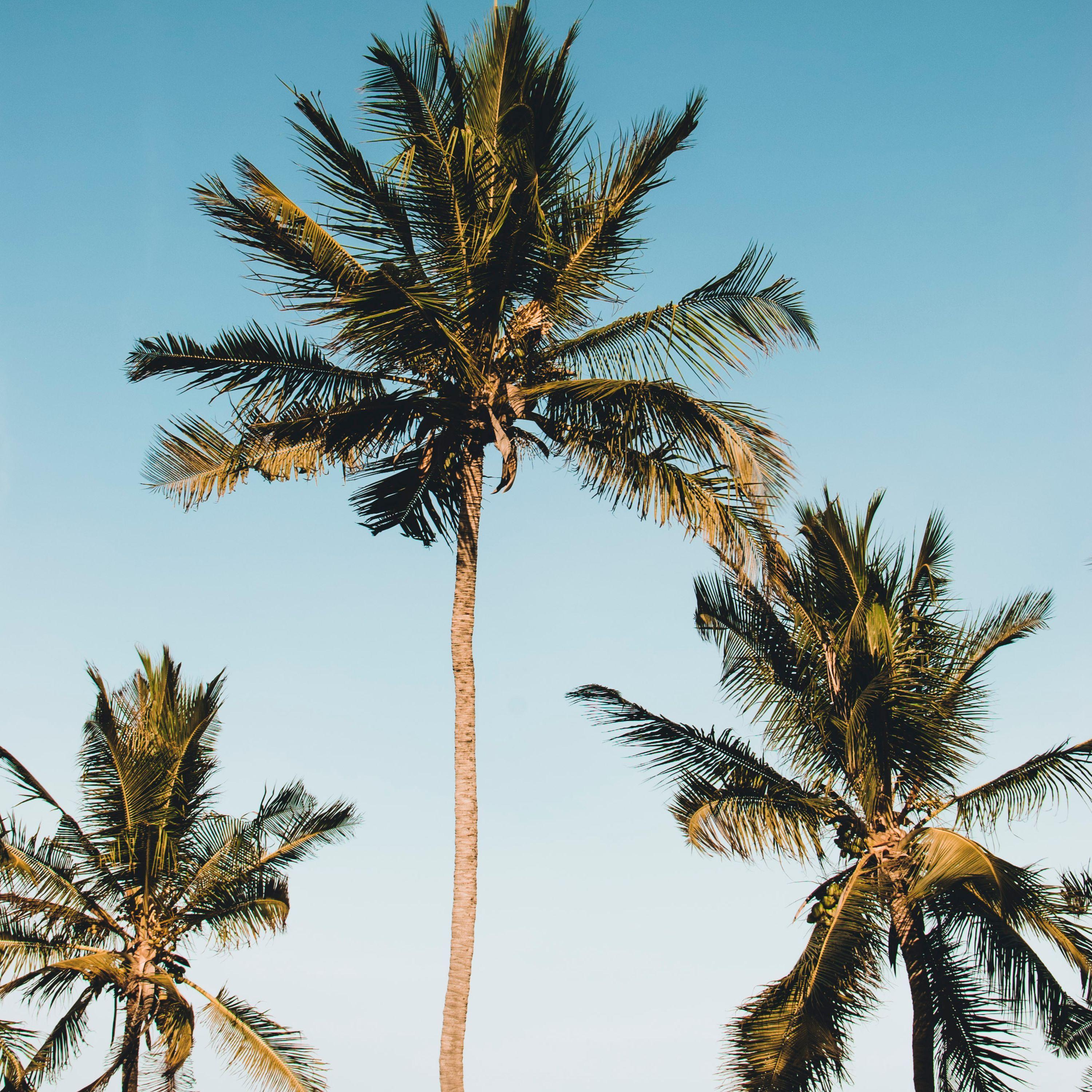 Pleasant Soundscapes | Stress Relief