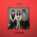 20th ANNIVERSARY 'REborn'专辑