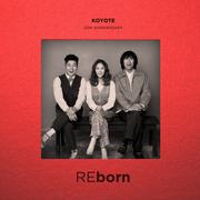 20th ANNIVERSARY 'REborn'专辑