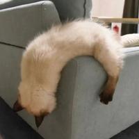 烂好人 - 不需要挽留