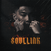 SoulLink灵魂链接