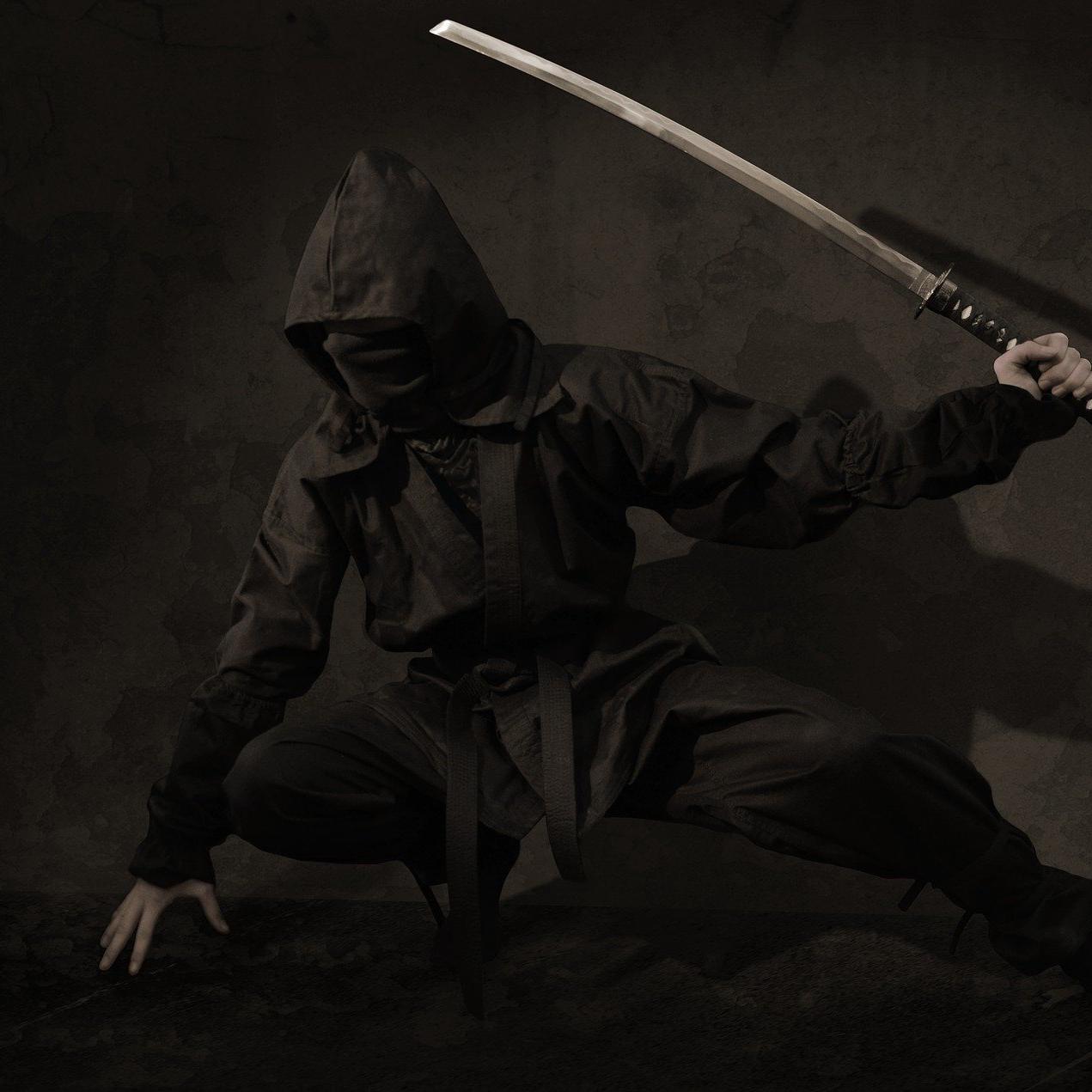 ninja