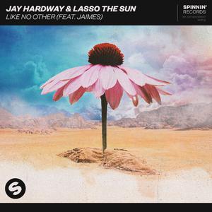 Jay Hardway & Lasso the Sun ft Jaimes - Like No Other (Radio Edit) (Instrumental) 原版无和声伴奏 （升5半音）