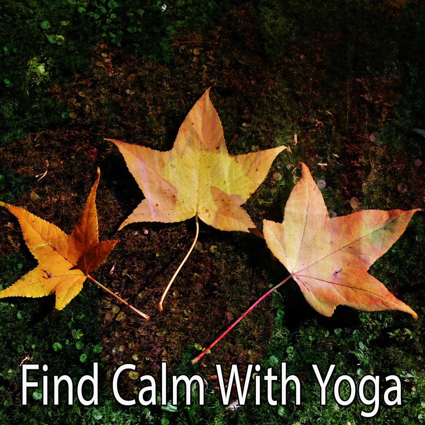 Find Calm With Yoga专辑