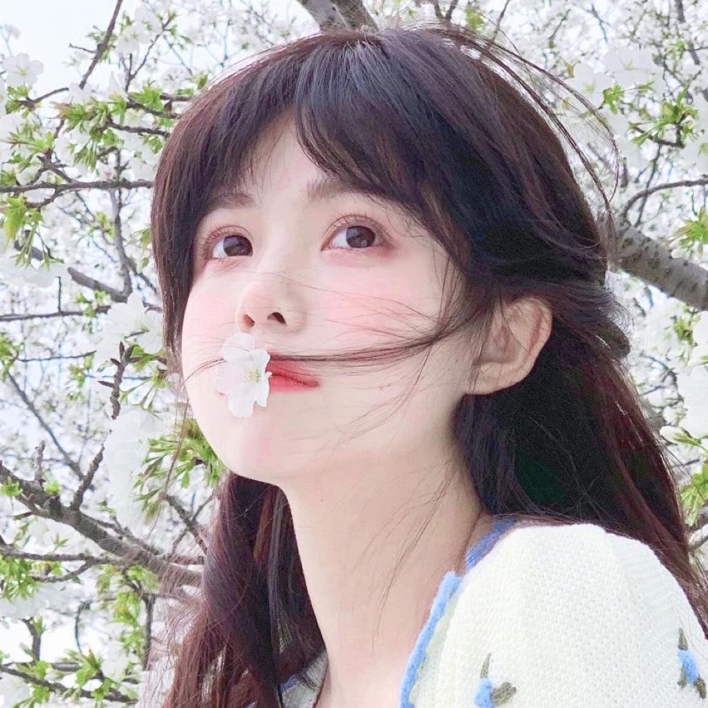 春日来信｜和我去看一场浪漫的花海