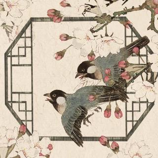 国风美少年 | 值得挖掘的惊艳原唱合集（9）