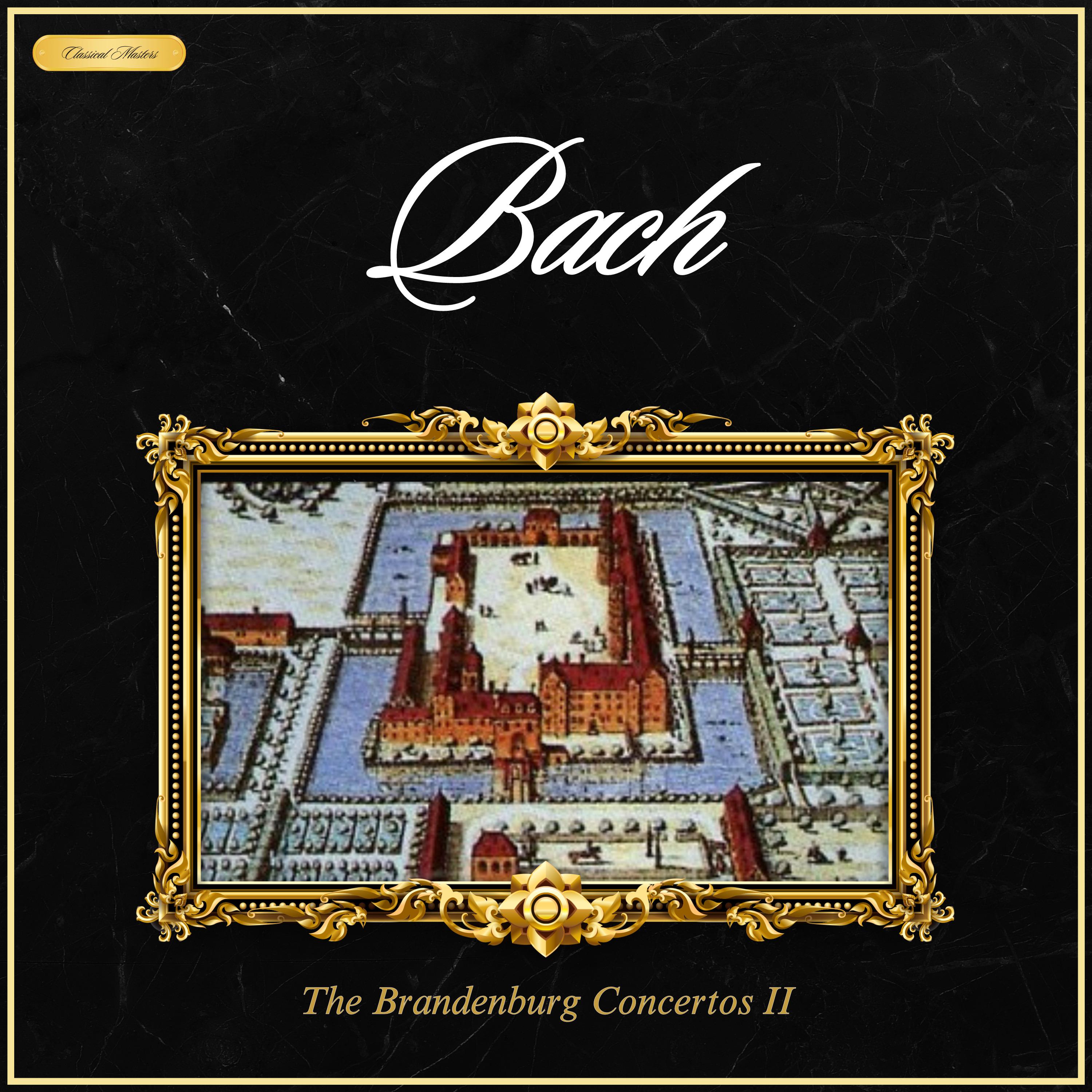 Baroque Strings Zürich - Brandenburg Concerto No. 6 in B-Flat Major, BWV 1051: III. Allegro