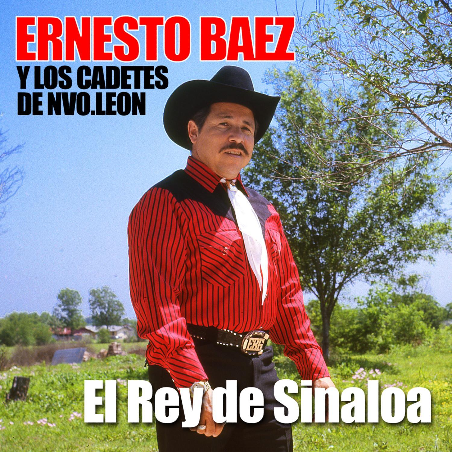 el rey de sinaloa - los cadetes de nuevo leon/ernesto baez