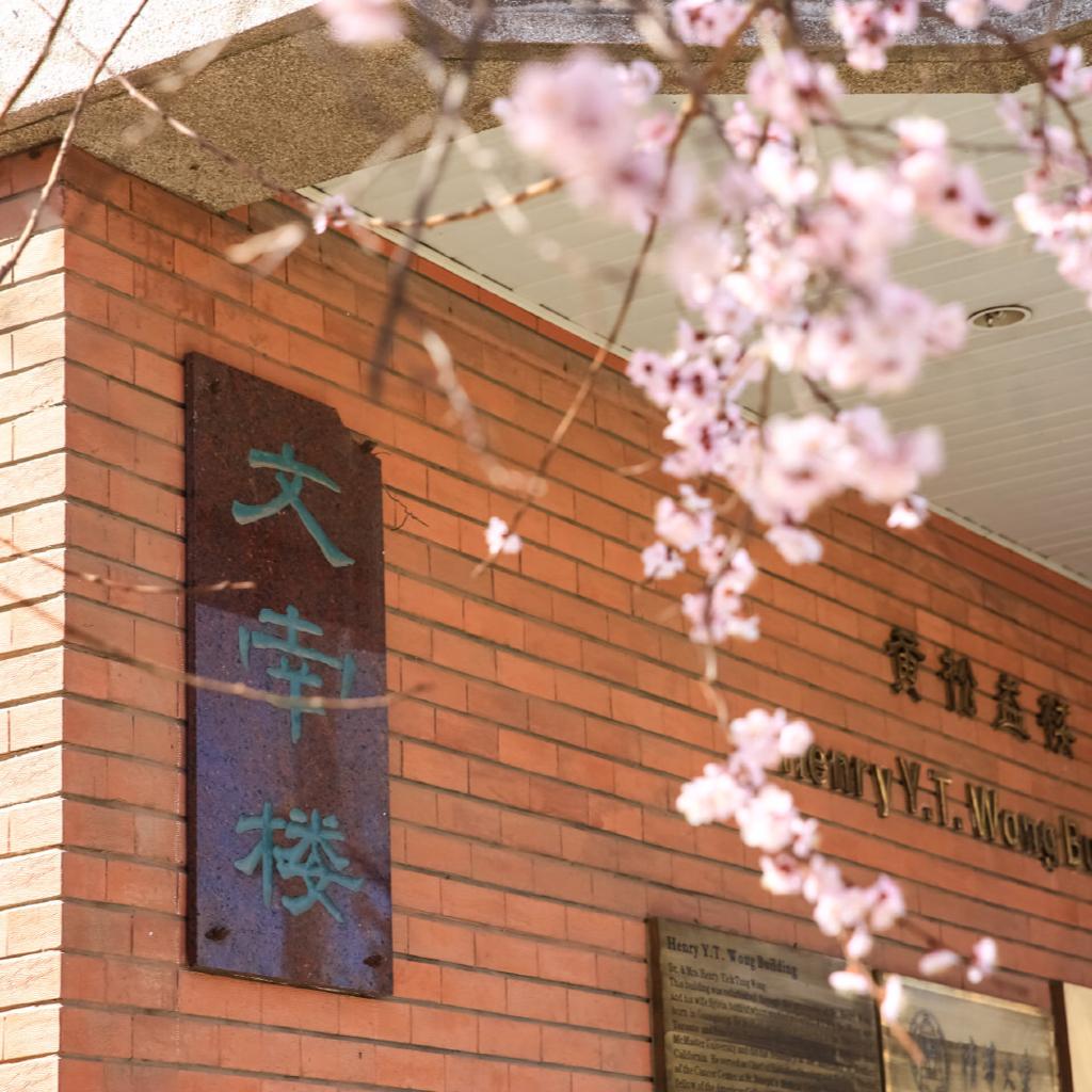 清华大学自习室歌单
